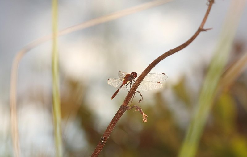 Валерия, 19 лет, 4 размер груди